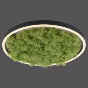 Таванна лампа Green Ritus 15391-66