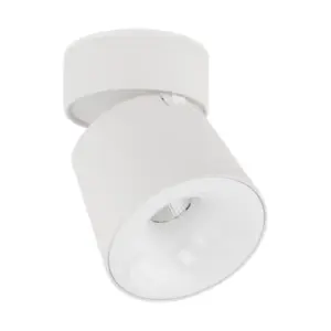 Таванен плафон Киото Бял 12W TK18136