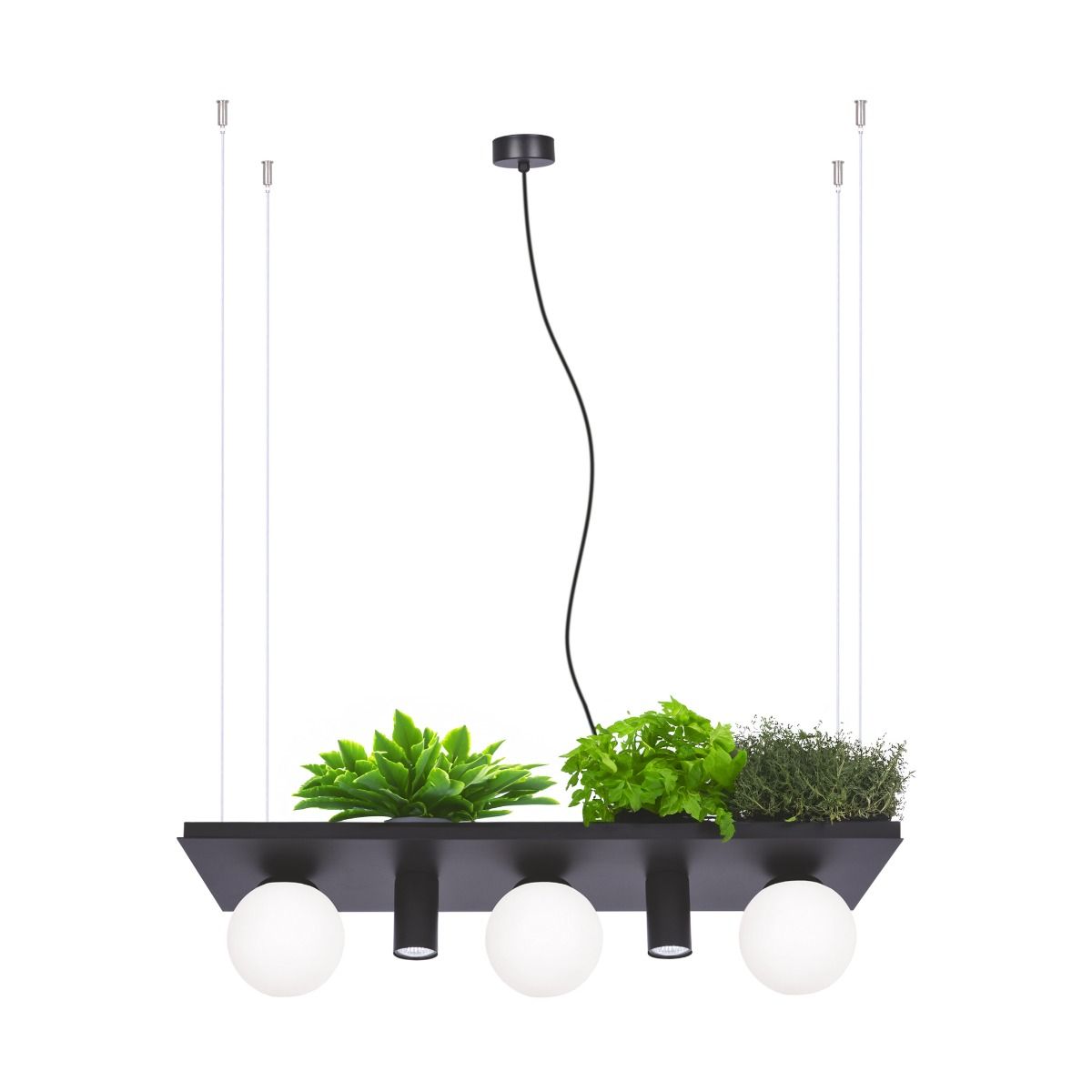 Висяща лампа PLANT SHELF 3xE14 + 2xGU10 Zuma Line 003749-025970