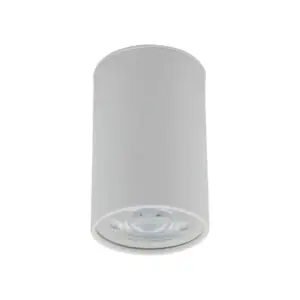 Таванна лампа TOP WHITE 1 точкова TK5766