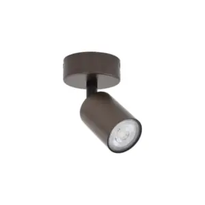 Плафонно осветително тяло TOP BROWN 1 TK5957