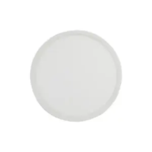 Плафон LED осветително тяло AQUA 300 БЯЛ 24W TK6900