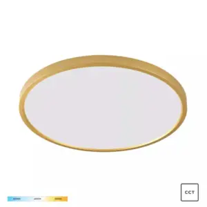 Плафонна лампа CAMI WM-BP1108-L-G