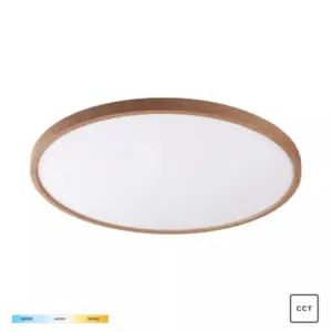 Таванна лампа CAMI WM-BP1108-L-W