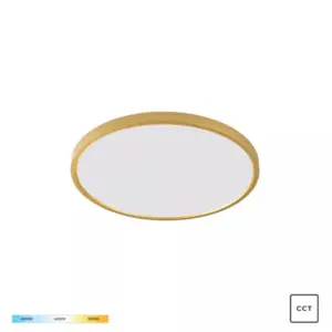 Таванна лампа CAMI WM-BP1108-S-G