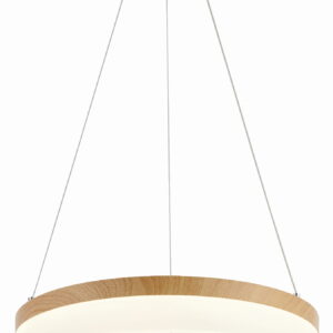 Висяща LED лампа Cornelia  REALITY 330601-11