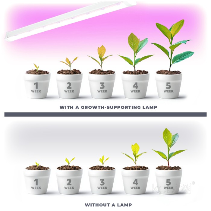 LED лампа за растения GROWLY 9W 004019 KOBI