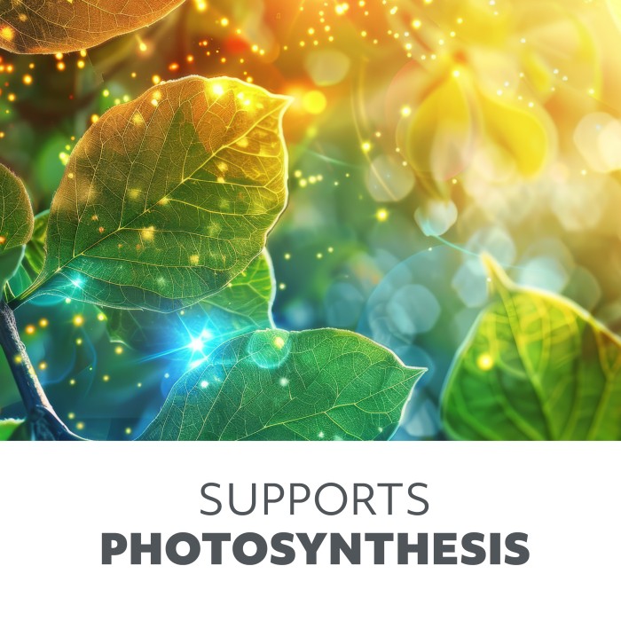 LED grow лампа VITARO 3 ST MINI 10W 001515 KOBI