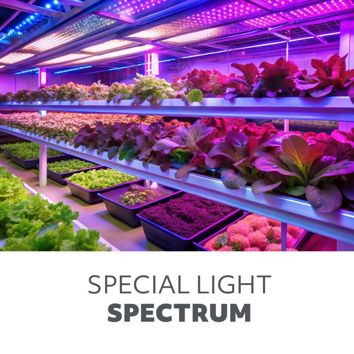 LED grow лампа VITARO 3 ST MINI 10W 001515 KOBI