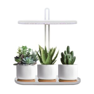 LED лампа за растения BLOOM 12W 4500K 004319 KOBI