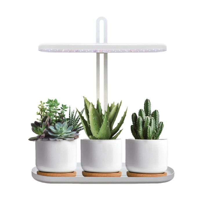 LED лампа за растения BLOOM 12W 4500K 004319 KOBI