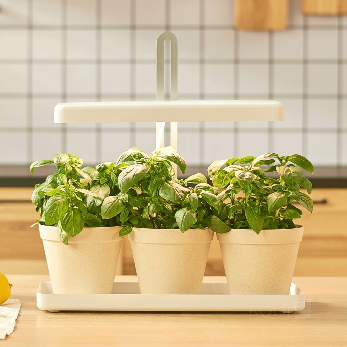 LED grow лампа BLOOM 20W 3500K 001456 KOBI