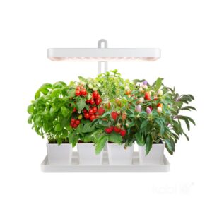 LED grow лампа BLOOM 20W 3500K 001456 KOBI