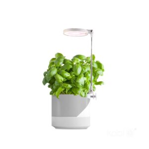 LED grow лампа VERDI 10W 3200K 001458 KOBI