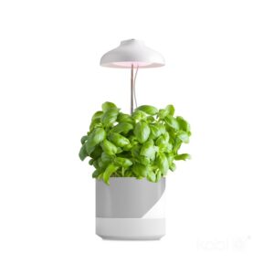 LED grow лампа VERDI 5W 3200K 001457 KOBI
