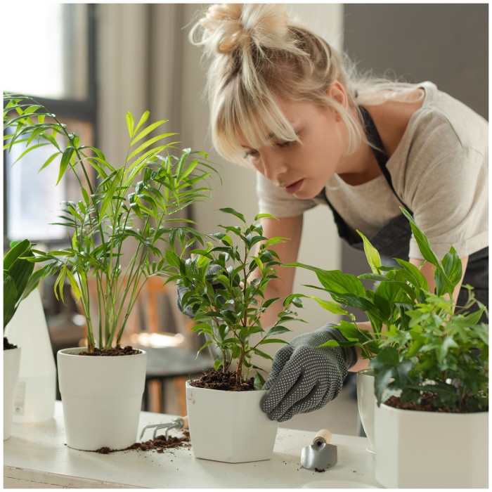 LED grow лампа VERDI V2 5W 1300K 004320 KOBI