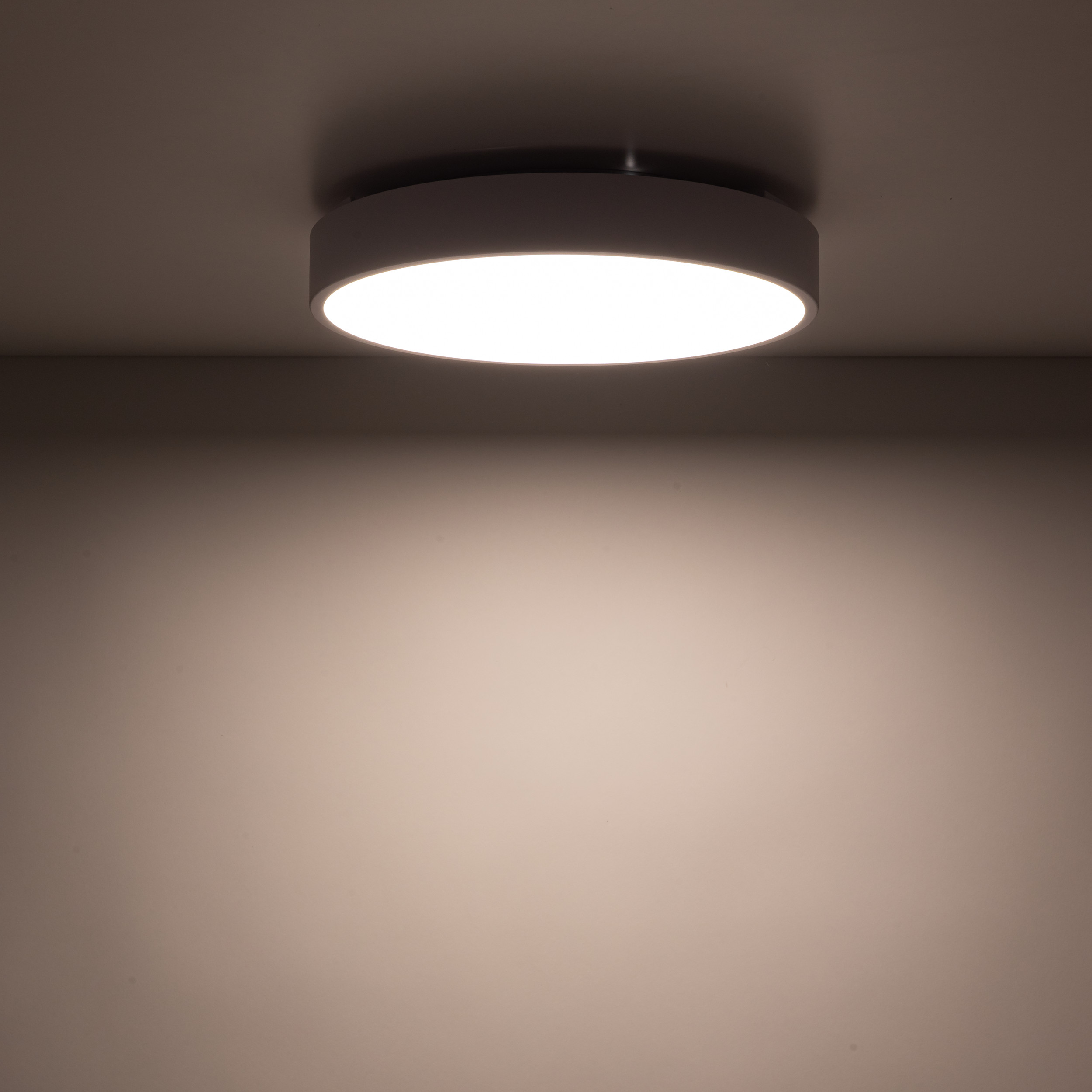 Плафон TK Lighting VELIS WHITE 24W LED 3CCT IP54 Ø300 TK18279