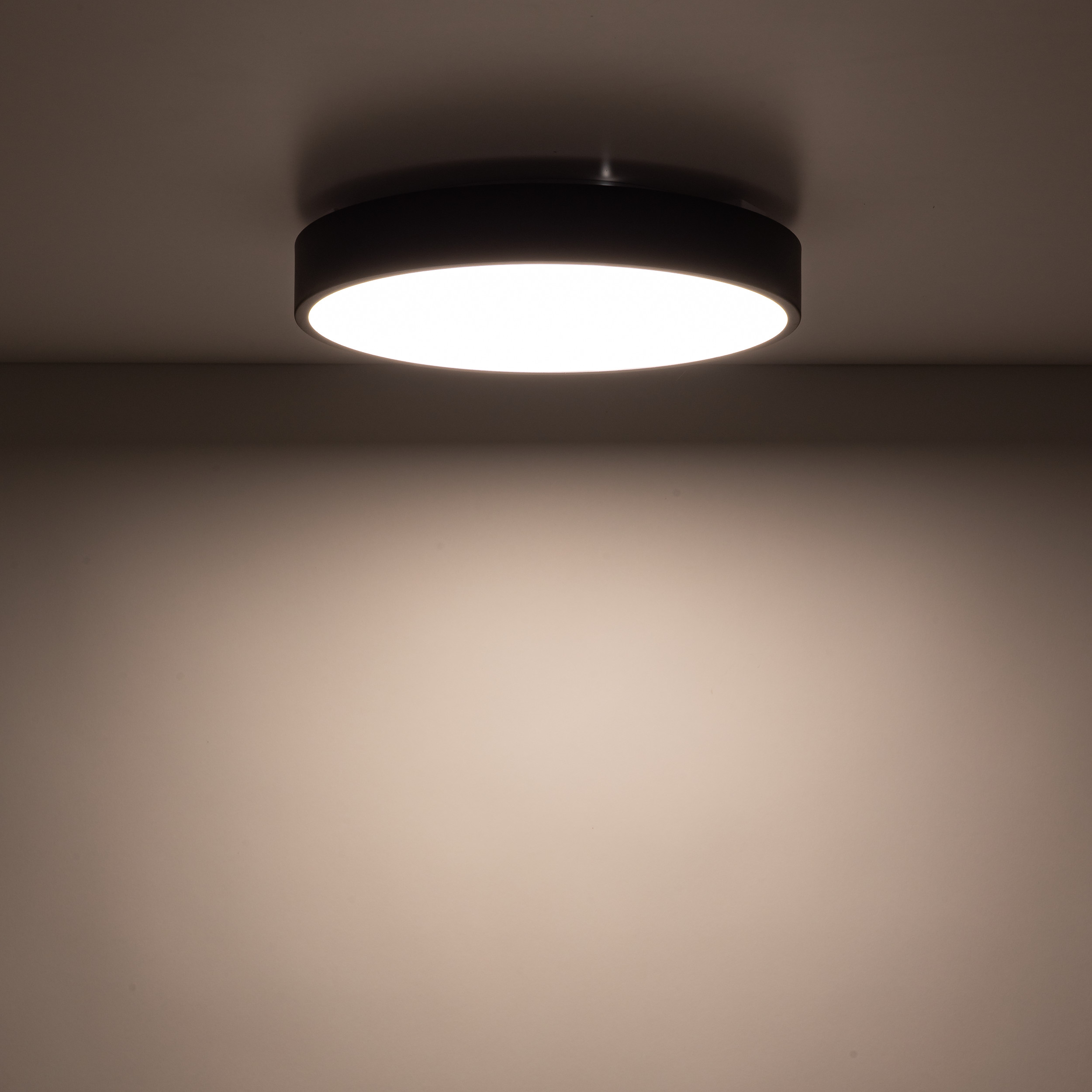 Плафон TK Lighting VELIS BLACK 24W LED 3CCT IP54 Ø300 TK18280