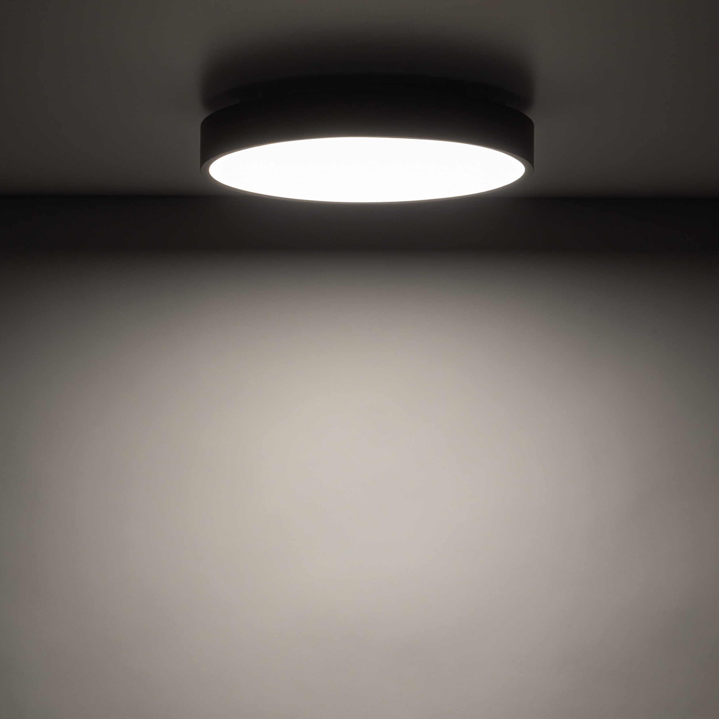Плафон TK Lighting VELIS BROWN 24W LED 3CCT IP54 Ø300 TK18281