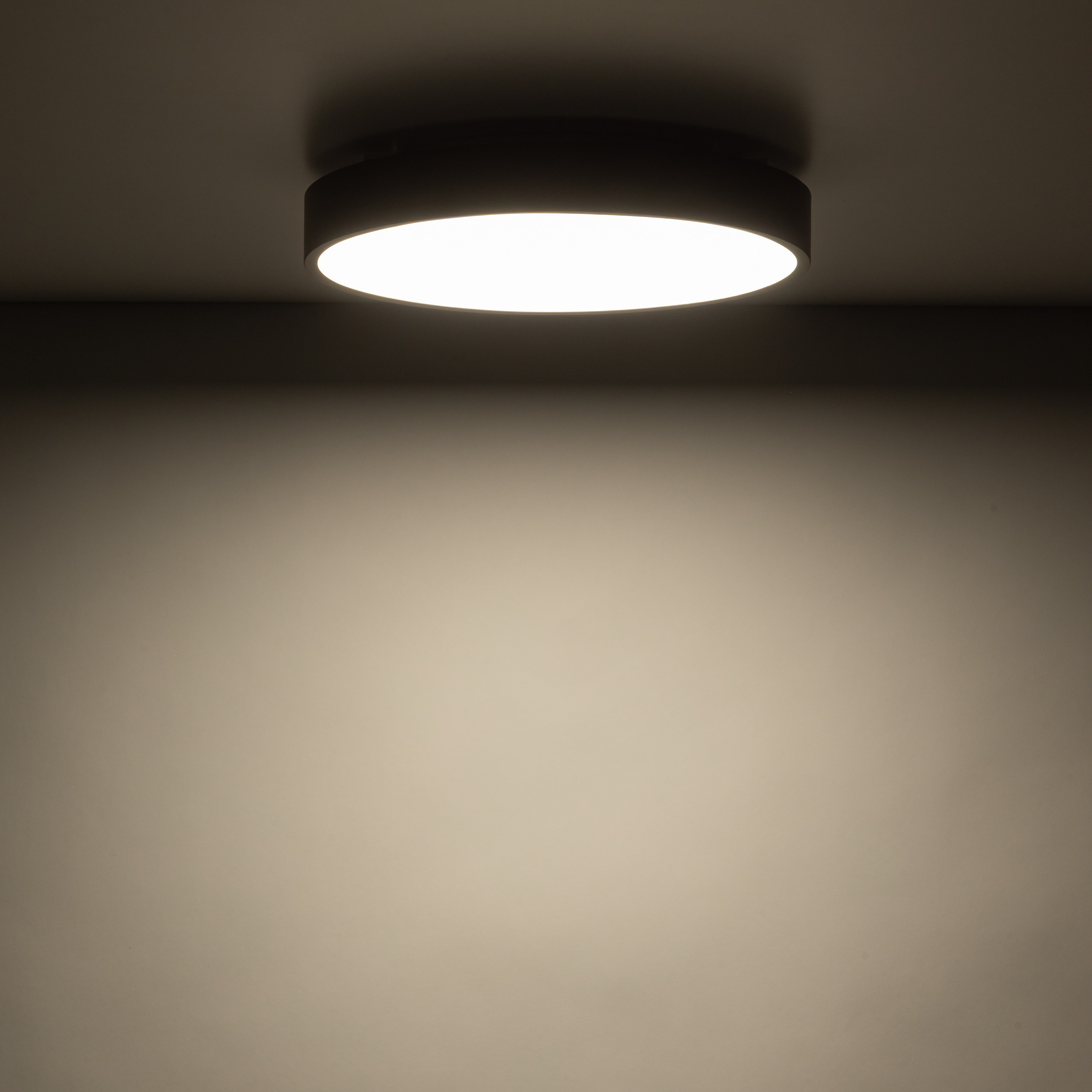Плафон TK Lighting VELIS BROWN 24W LED 3CCT IP54 Ø300 TK18281